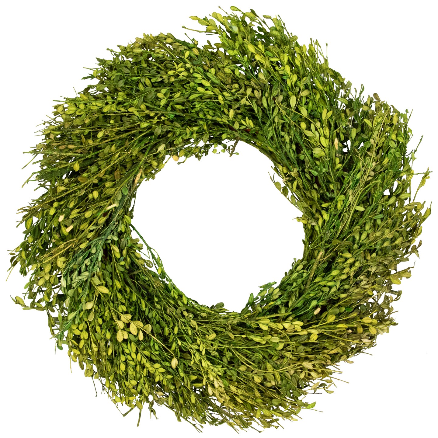 Northlight Green Foliage Artificial Spring Wreath - 20&#x27; - Unlit
