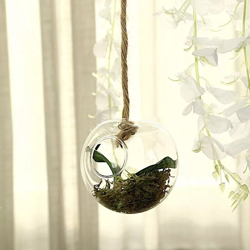 3 CLEAR CLASSIC ROUND Glass Wall Terrariums Vases Home Wedding Centerpieces