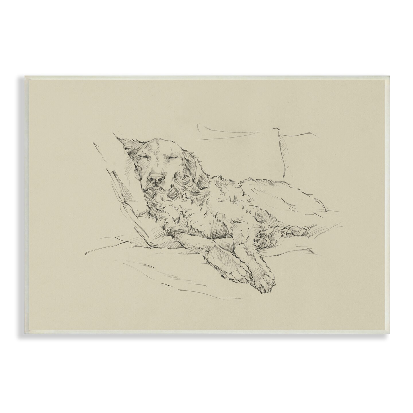 Stupell Industries Fluffy Retriever Napping Sketch Wall Plaque Art