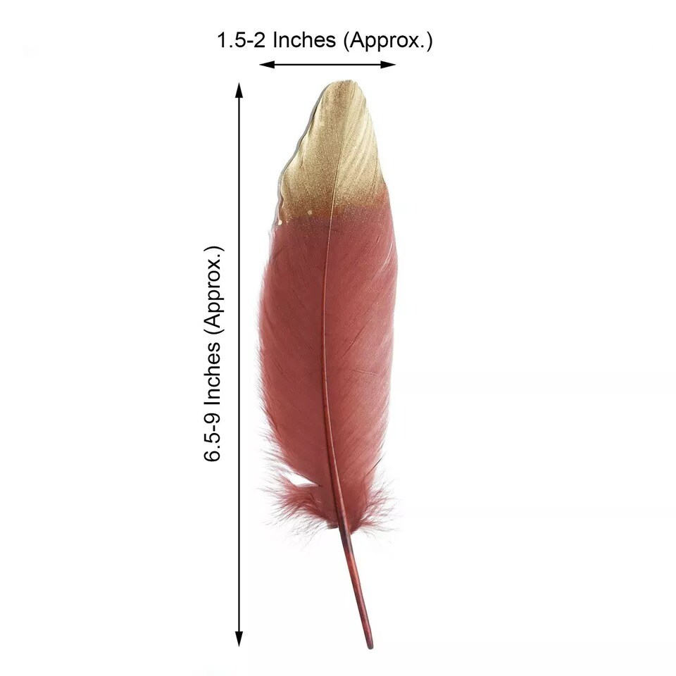 90 BURGUNDY with Metallic Gold Tip Natural Goose Feathers