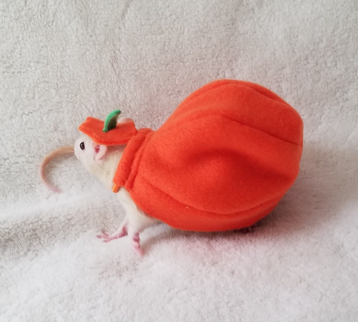 Pumpkin Costume for Pet Rats, Halloween Costume for Small Animals product 3