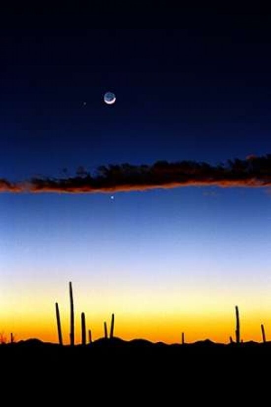 Moonrise Poster Print by Douglas Taylor - Item # VARPDXPSTLR141