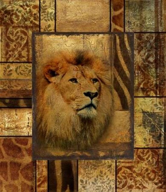 Decorative Safari II Poster Print by Patricia Pinto - Item # VARPDX6854K