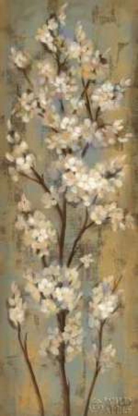 Almond Branch II Poster Print by Silvia Vassileva - Item # VARPDX6474