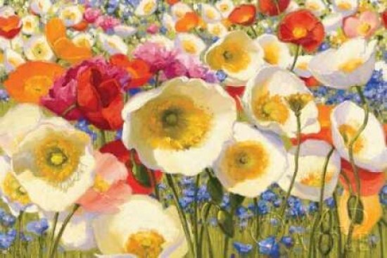 Sunny Abundance Poster Print by Shirley Novak - Item # VARPDX7346
