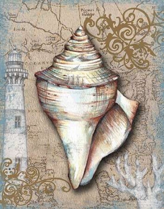 Nautical Treasures I Poster Print by Donna Knold - Item # VARPDXKLD032