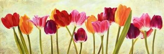 Tulip parade Poster Print by Luca Villa - Item # VARPDX4LC504