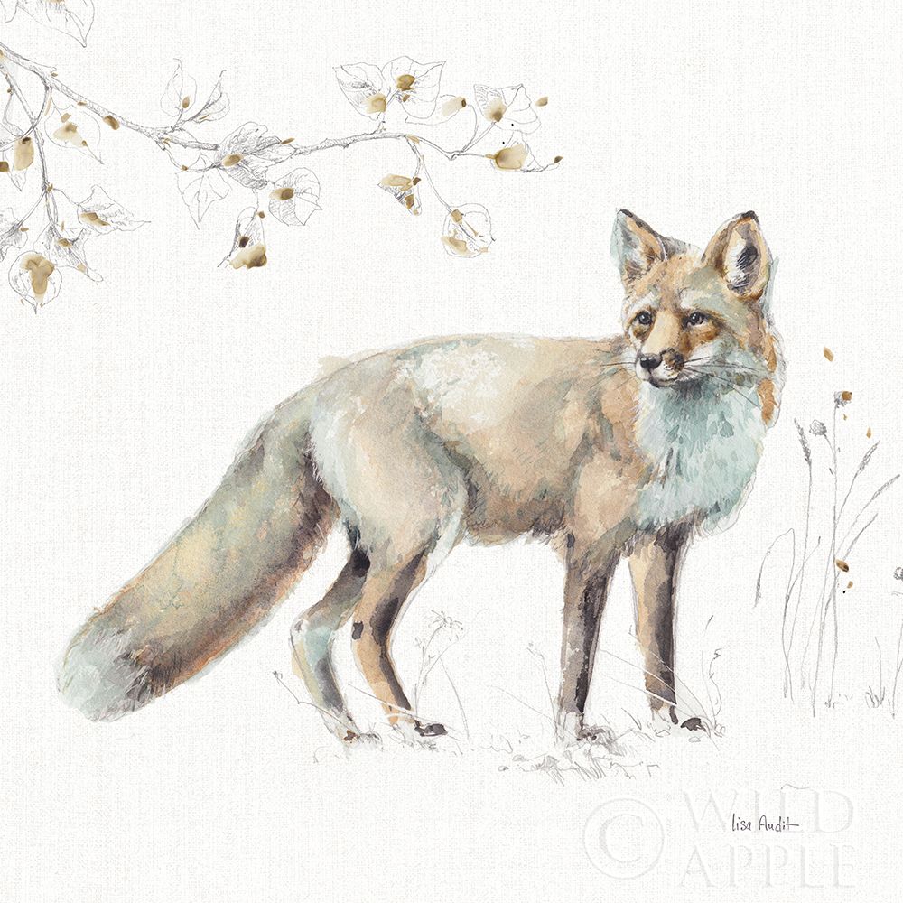 A Woodland Walk Xi Poster Print by Lisa Audit - Item # VARPDX32675