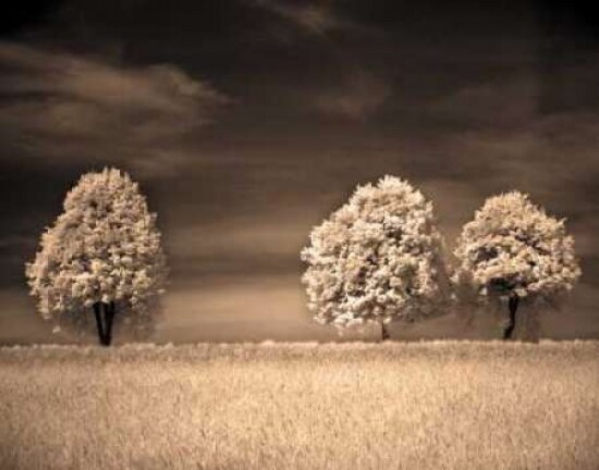 Together and Alone II Poster Print by Ily Szilagyi - Item # VARPDXSIP202