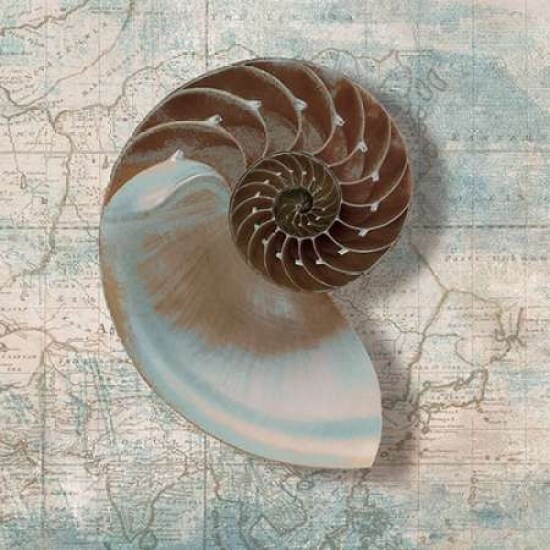 Nautilus Poster Print by Ted Broome - Item # VARPDX1BR1926