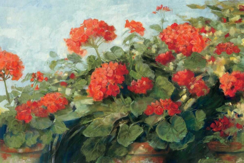 Geranium Wave Poster Print by Carol Rowan - Item # VARPDX10615