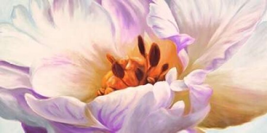 Tulipe Poster Print by Luca Villa - Item # VARPDX2LC1880