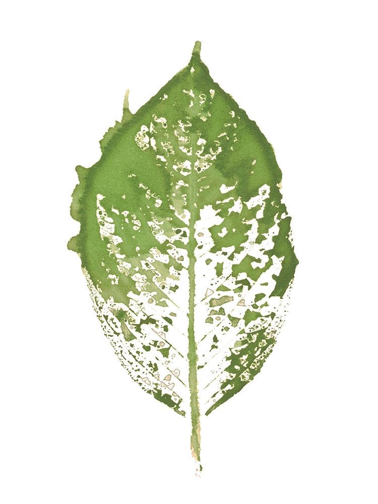 Beginning In Blue VII - Green Version Poster Print by Amy Evans - Item # VARPDXEV007AF