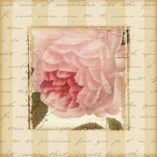 Rose and Romance II Poster Print by Pela Design - Item # VARPDXPEL019