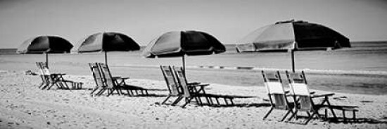 Beach Reunion Poster Print by Gail Peck - Item # VARPDX8999P