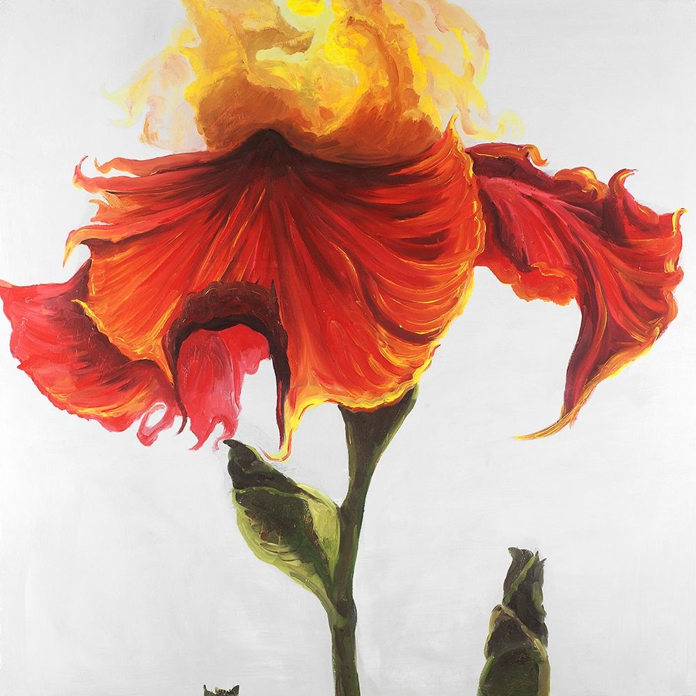 Blossoming Lily Flower Poster Print by Atelier B Art Studio - Item # VARPDXBEGFLO206