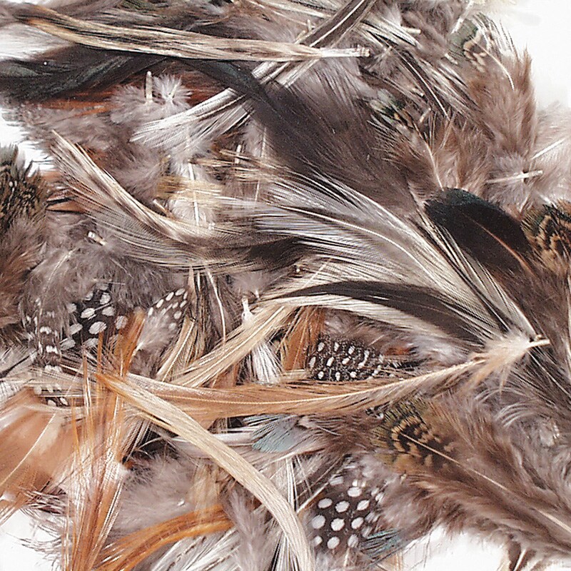 Natural Feathers, Natural Assorted Colors, Assorted Sizes, 1/2 oz.
