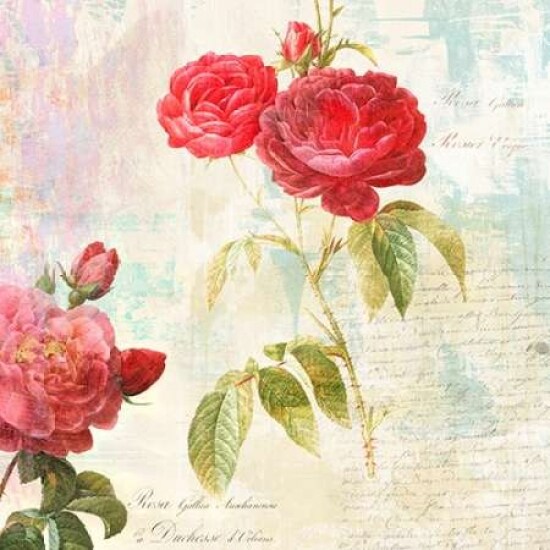 Redoutes Roses 2.0 - II Poster Print by Eric Chestier - Item # VARPDX1EH3823