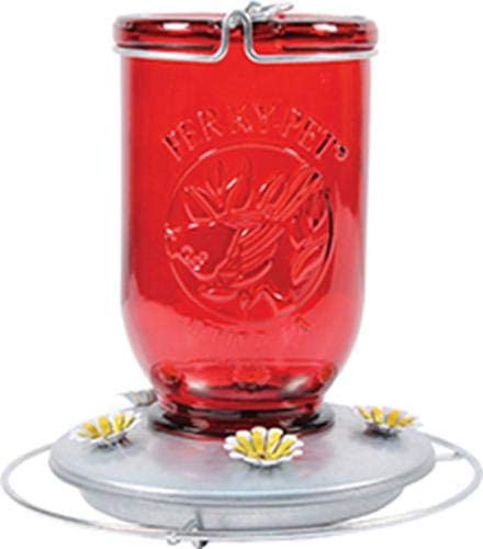 Perky-Pet 32 oz Glass Mason Jar Hummingbird Feeder