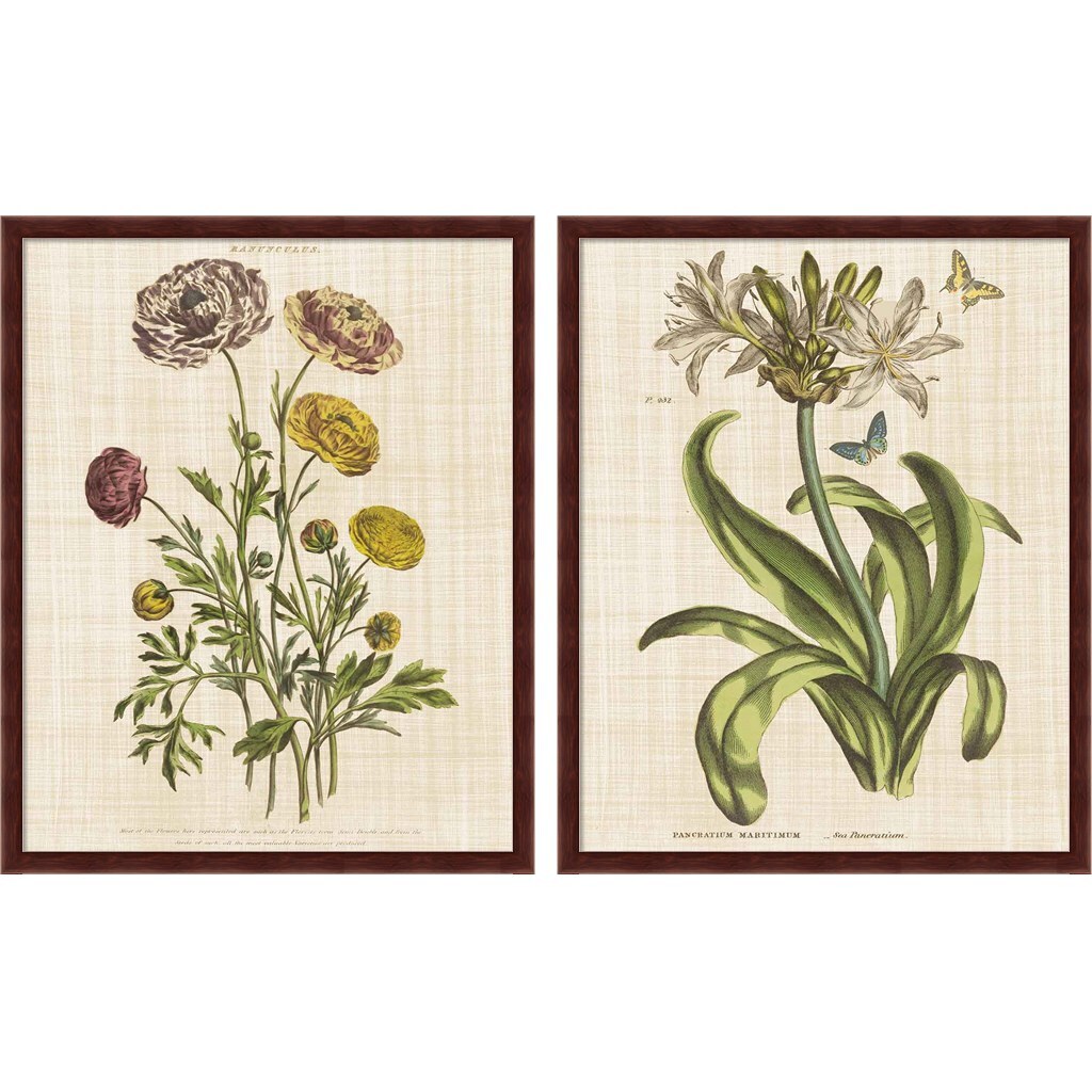 Herbal Botany Linen By Wild Apple Portfolio 17 X 21 Framed Wall Art Set Of 2 Michaels 8664