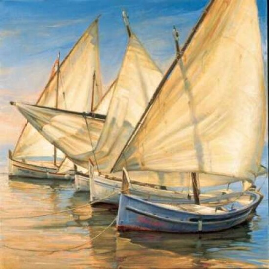 Windward Latin Sails Poster Print by Jaume Laporta - Item # VARPDXLJP105