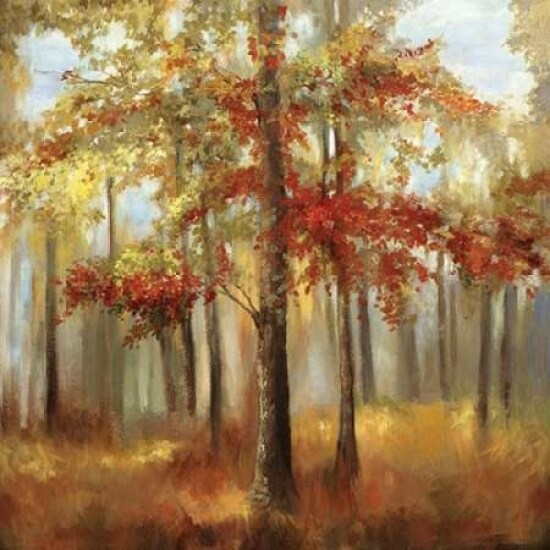 Soft Light - Oversize Poster Print by Allison Pearce