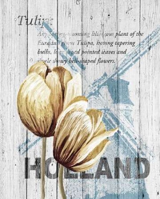 Holland Tulips Poster Print by Alicia Soave - Item # VARPDXS1326D