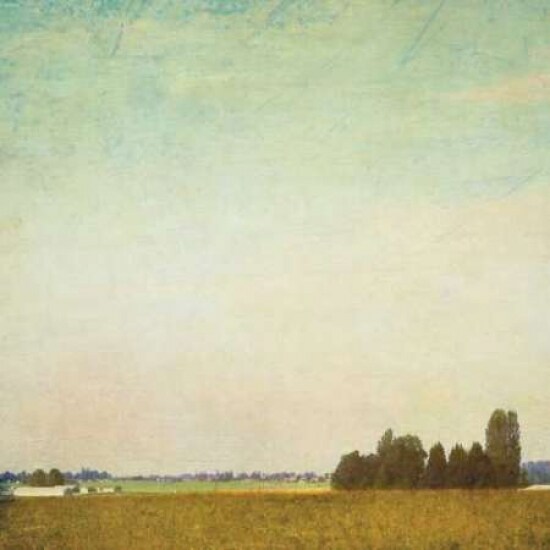 Spring Landscape II Poster Print by Amy Melious - Item # VARPDXMEL442