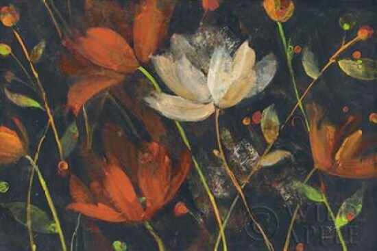 Moonlight Garden I Spice Poster Print by Albena Hristova - Item # VARPDX32139