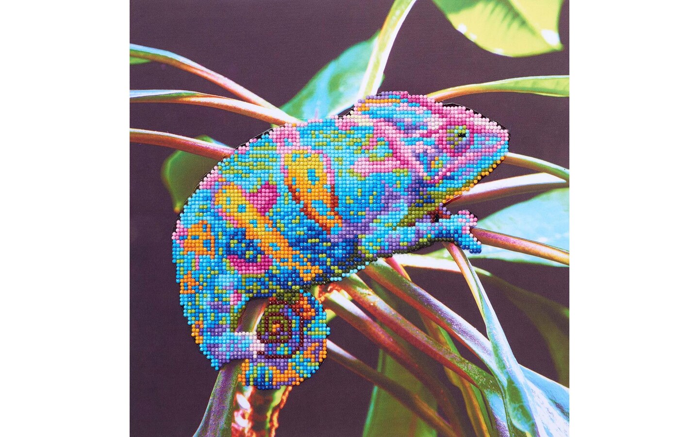 DIAMOND ART BY LEISURE ARTS Chameleon, 12"x12", Intermediate Diamond