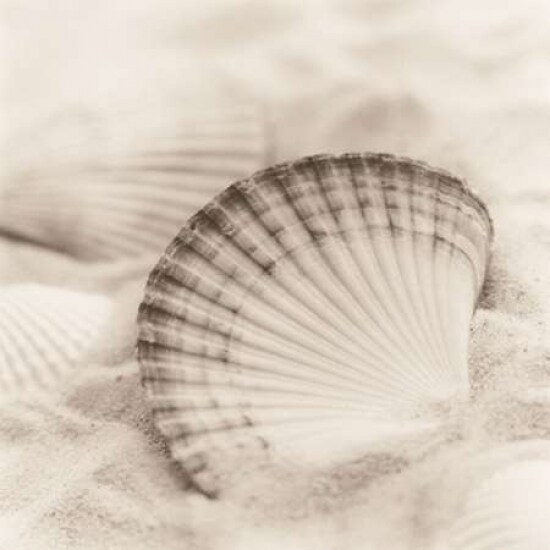 La Mer 3 Poster Print by Alan Blaustein - Item # VARPDXB1333D