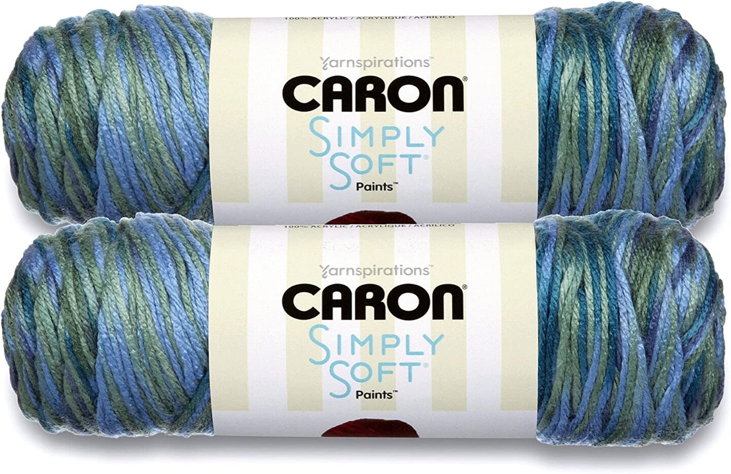 (Pack of 2) Caron Simply Soft Paints Yarn-Spring Brook