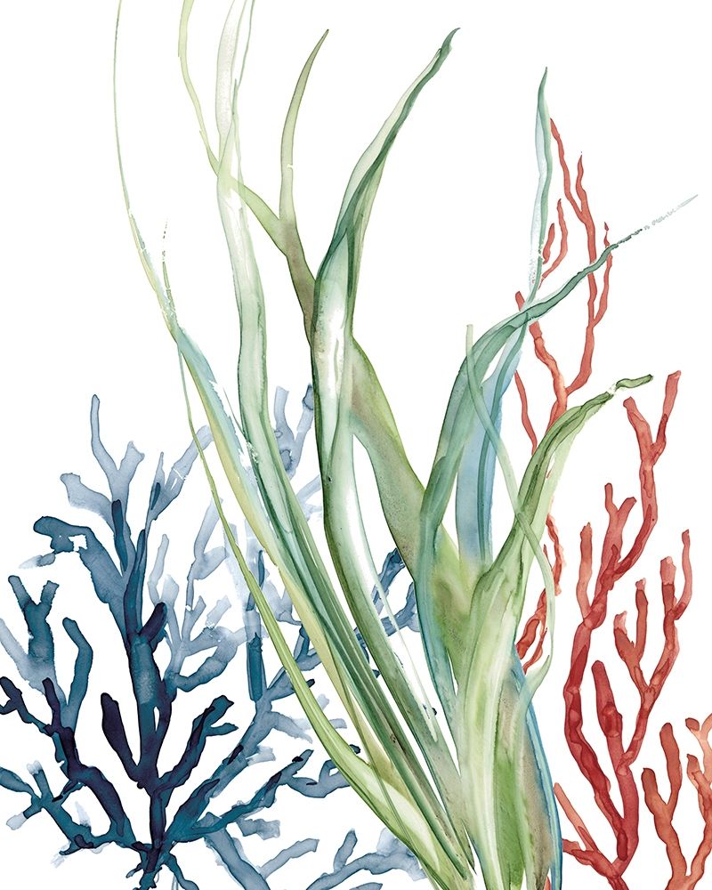 Ocean Garden II Poster Print by Carol Robinson - Item # VARPDX40473