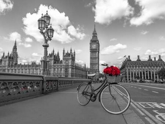 Bicycle with bunch of flowers on Westminster Bridge, London, UK Poster Print by  Assaf Frank - Item # VARPDXAF20150607197C01