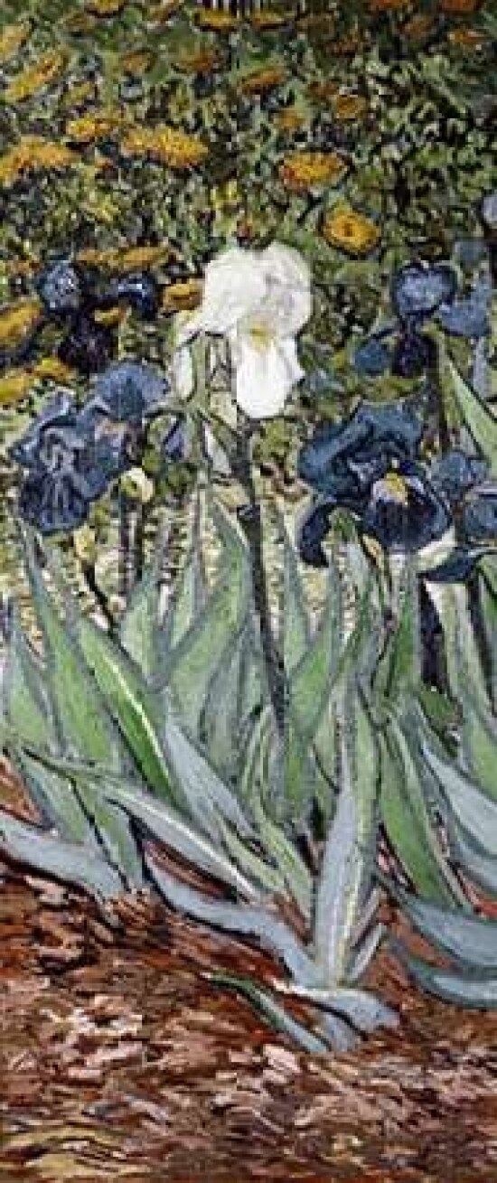 Irises - left Poster Print by Vincent Van Gogh - Item # VARPDX394123