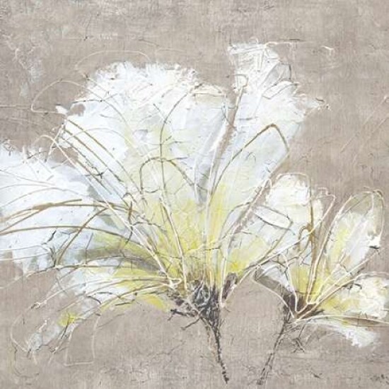 White Flowers II Poster Print by Wendy Kroeker
