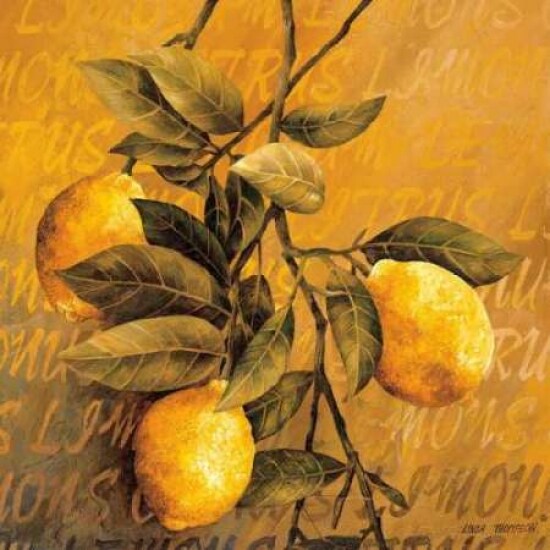 Lemon Branch Poster Print by Linda Thompson - Item # VARPDX5465