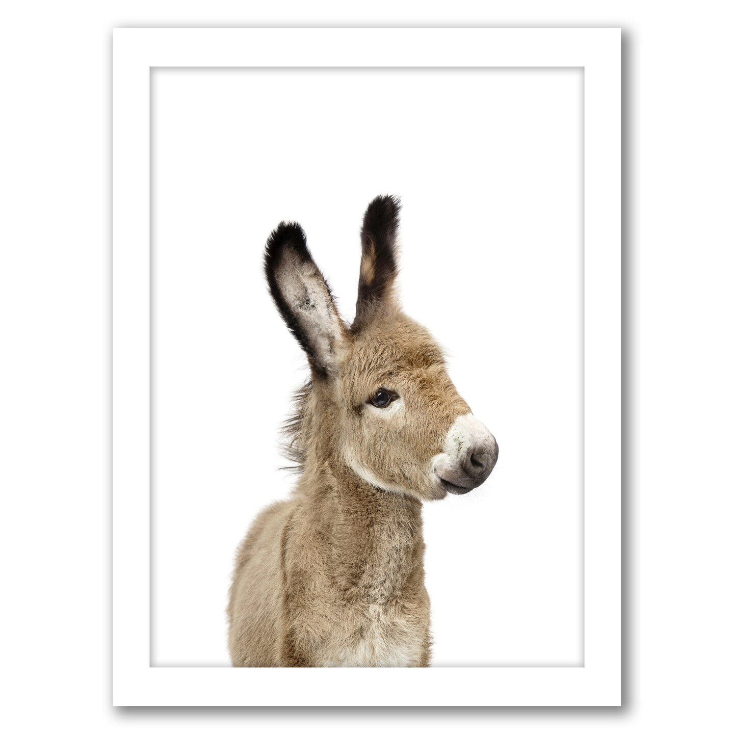 Little Donkey by Sisi And Seb Frame Americanflat Michaels