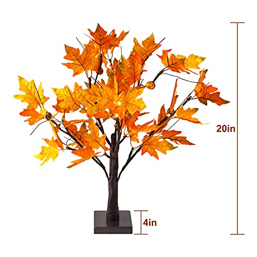 24-inch Fall Lighted Maple Tree with Acorns, 24 LED Lights, Battery Operated Thanksgiving Table Centerpieces Decoration Artificial Tree for Home Desktop Fireplace Autumn Harvest Tabletop Indoor Decor