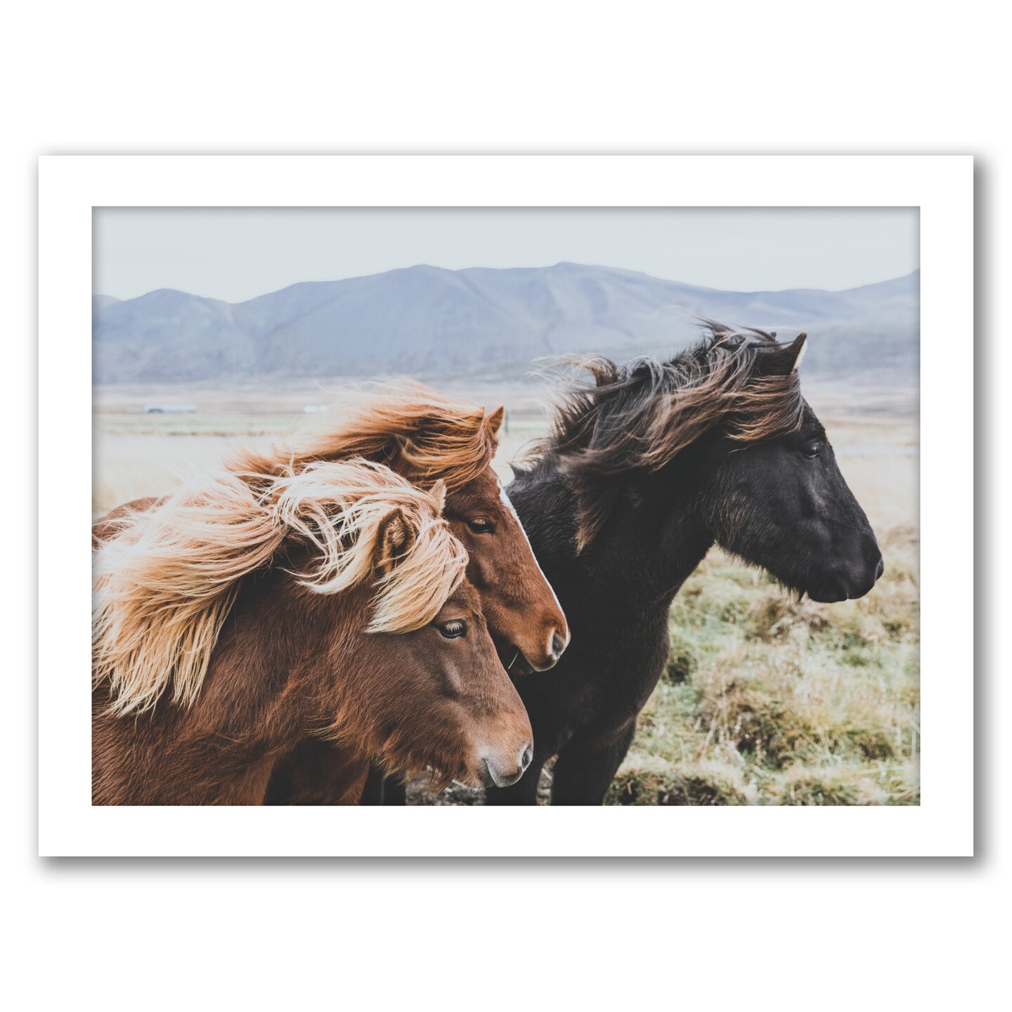 Eastern Region Iceland by Luke Gram Frame  - Americanflat