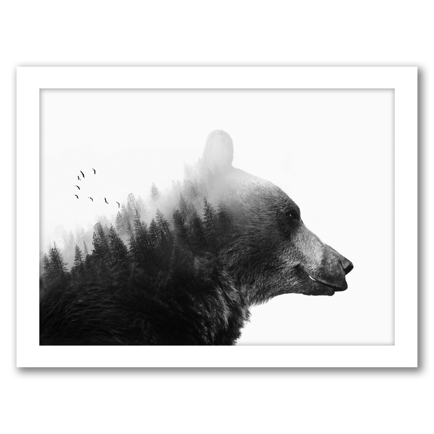 Americanflat - Big Bear by Emanuela Carratoni - Black Frame 18x24