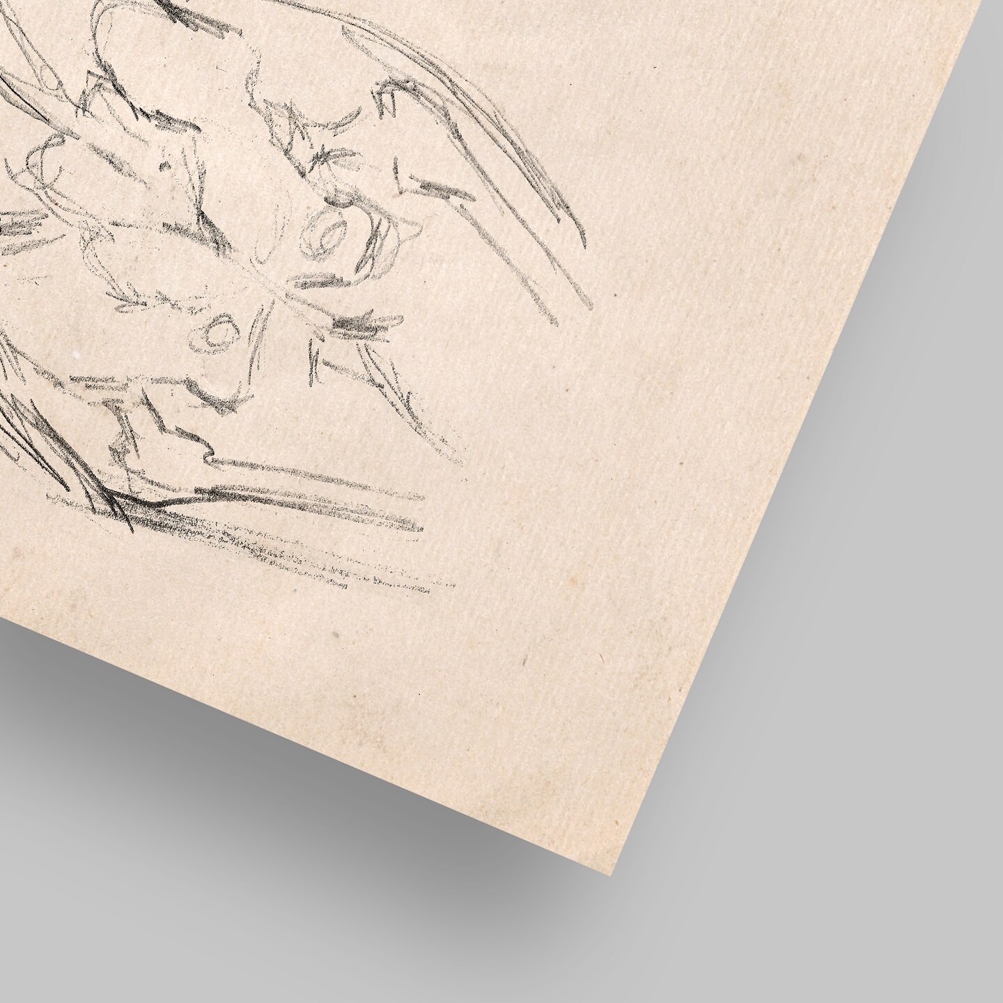 Anatomy Study Ii by Chaos &#x26; Wonder Design  Poster Art Print - Americanflat
