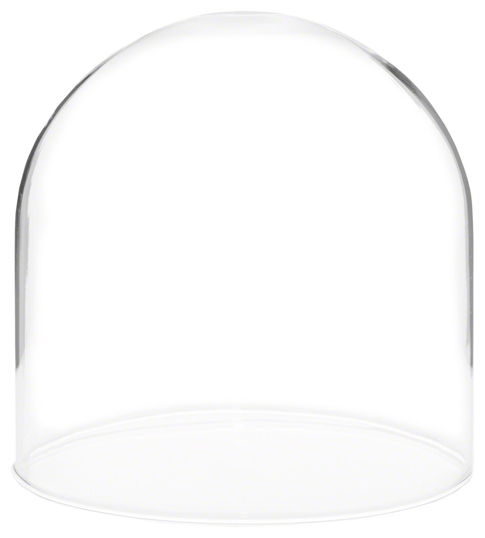 Plymor 4" x 4" Glass Display Dome Cloche Michaels