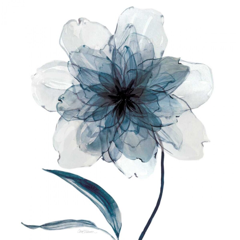 Indigo Bloom II Poster Print by Carol Robinson - Item # VARPDX17129