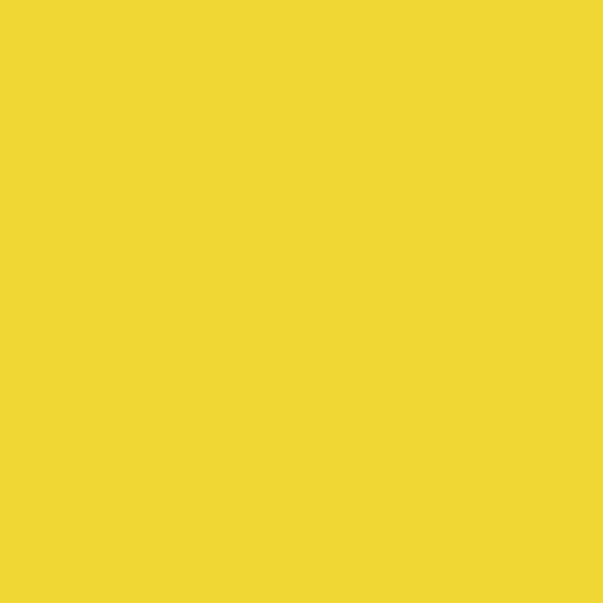 Cricut Vinyl 12x48 Roll - Light Yellow 