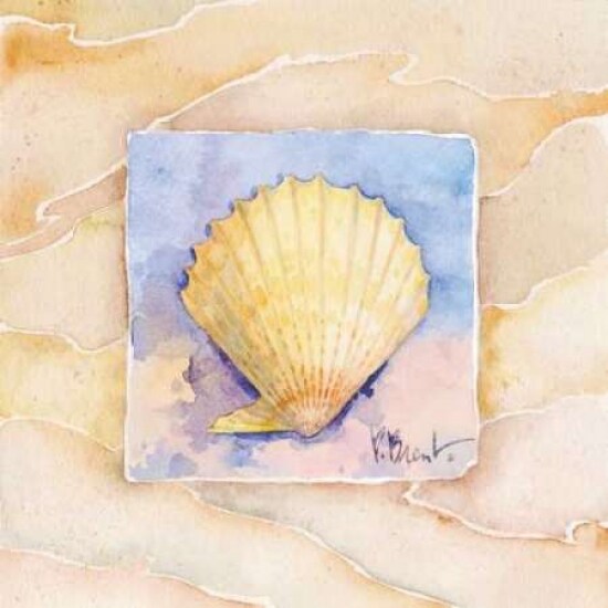 Scallop Poster Print by Paul Brent - Item # VARPDXBNT065