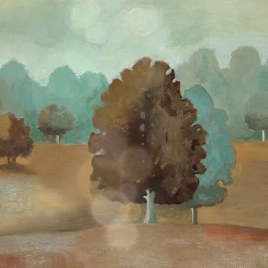 Perry Hill II Poster Print by Steve Litvak