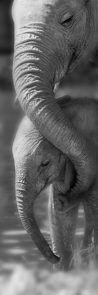 Morning Moment Poster Print by Michele Westmorland - Item # VARPDX40858