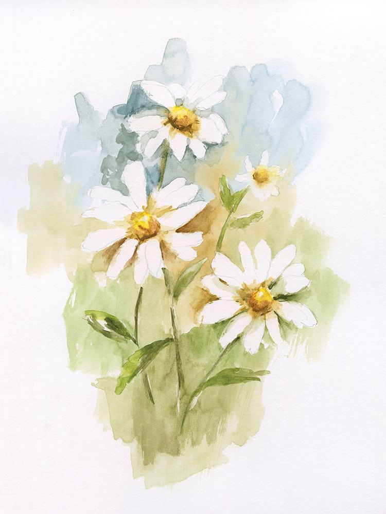 Wild Daisy I Poster Print by Nan - Item # VARPDX19327