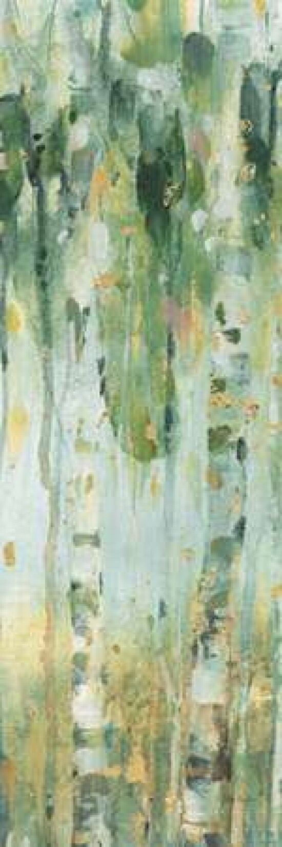 The Forest IV Poster Print by Lisa Audit - Item # VARPDX28758